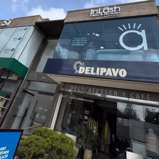 Imagen de galería